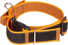 Julius-K9 IDC Color&Gray Collar With Handle 50mm Orange