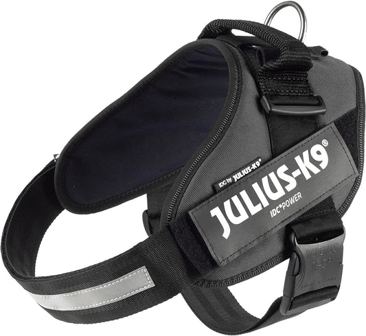 Julius-K9 IDC Power Harness XL/Size 2 Anthracite