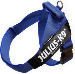 Julius-K9 IDC Color&Gray Lightweight Belt Harness L/Size 1 Blue