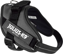 Julius-K9 IDC Power Harness S/Mini Anthracite