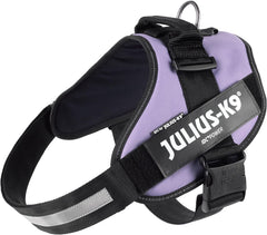 Julius-K9 IDC Power Harness 2XL/Size 3 UV Purple