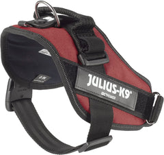 Julius-K9 IDC Power Harness M/Size 0 Burgundy