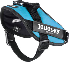 Julius-K9 IDC Power Harness S/Mini Aquamarine