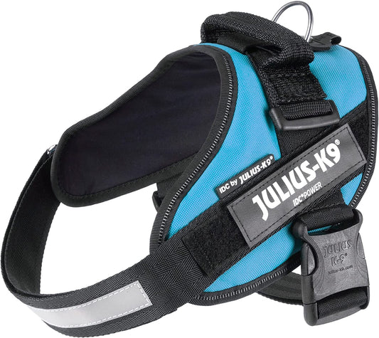 Julius-K9 IDC Power Harness M/Size 0 Aquamarine