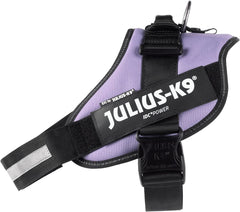 Julius-K9 IDC Power Harness 2XL/Size 3 UV Purple