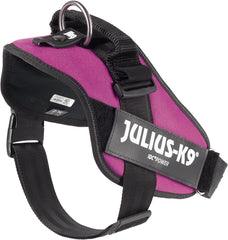 Julius-K9 IDC Power Harness XL/Size 2 Dark Pink