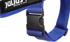 Julius-K9 IDC Color&Gray Lightweight Belt Harness M/Size 0 Blue