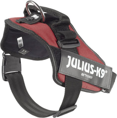 Julius-K9 IDC Power Harness L/Size 1 Burgundy