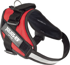 Julius-K9 IDC Power Harness M/Size 0 Red