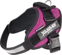 Julius-K9 IDC Power Harness M/Size 0 Dark Pink