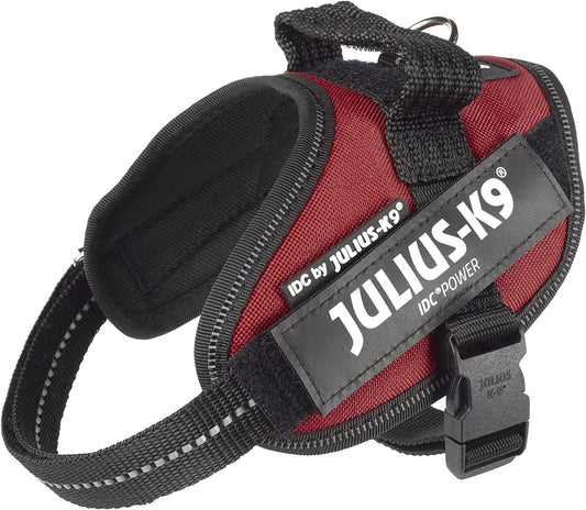 Julius-K9 IDC Power Harness XS/Mini-Mini Burgundy