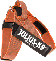 Julius-K9 IDC Color&Gray Lightweight Belt Harness XXL/Size 3 Orange