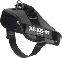 Julius-K9 IDC Power Harness 2XL/Size 3 Anthracite