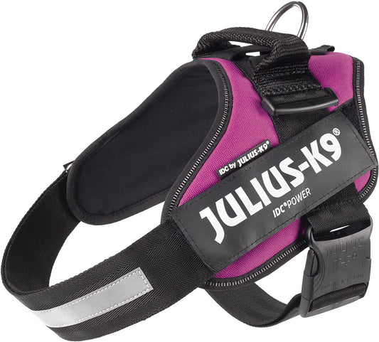 Julius-K9 IDC Power Harness L/Size 1 Dark Pink