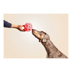 Dog toy Gloria Dispenser Sweets Rubber (12 cm)