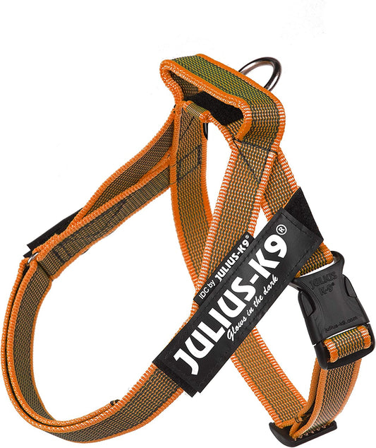 Julius-K9 IDC Color&Gray Lightweight Belt Harness XS/Mini-Mini Orange