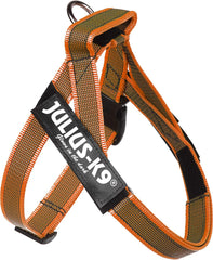 Julius-K9 IDC Color&Gray Lightweight Belt Harness XS/Mini-Mini Orange