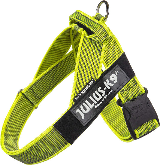 Julius-K9 IDC Color&Gray Lightweight Belt Harness M/Size 0 Neon