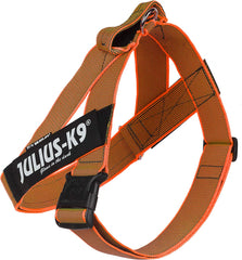 Julius-K9 IDC Color&Gray Lightweight Belt Harness L/Size 1 Orange