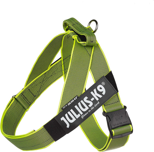 Julius-K9 IDC Color&Gray Lightweight Belt Harness L/Size 1 Neon