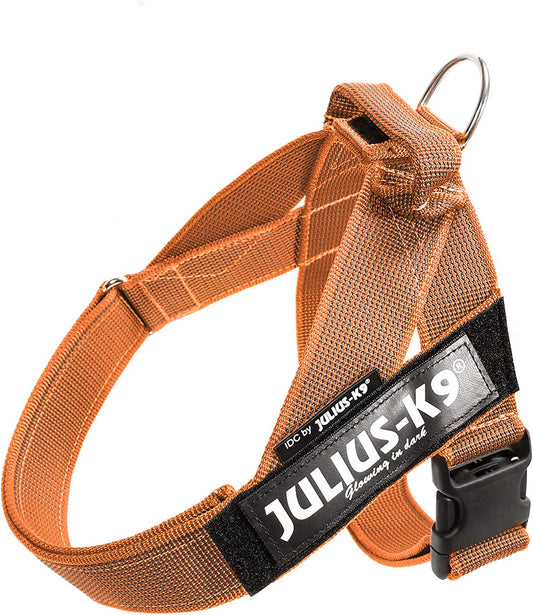 Julius-K9 IDC Color&Gray Lightweight Belt Harness L/Size 1 Orange