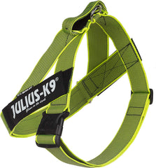 Julius-K9 IDC Color&Gray Lightweight Belt Harness L/Size 1 Neon