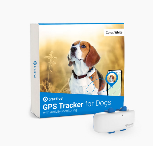 Tractive DOG 4 GPS Tracker For Dogs White (6 Months Premium)